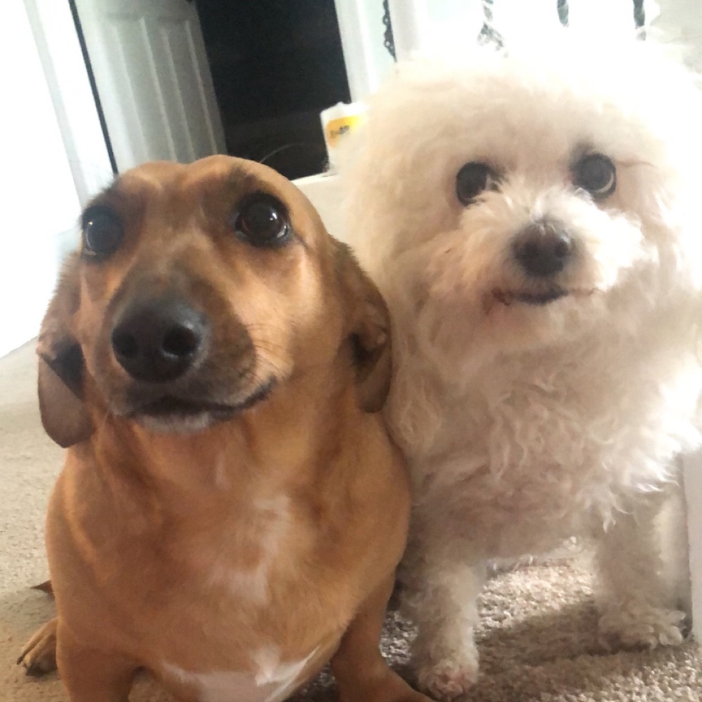 Meet your Posher, Jim